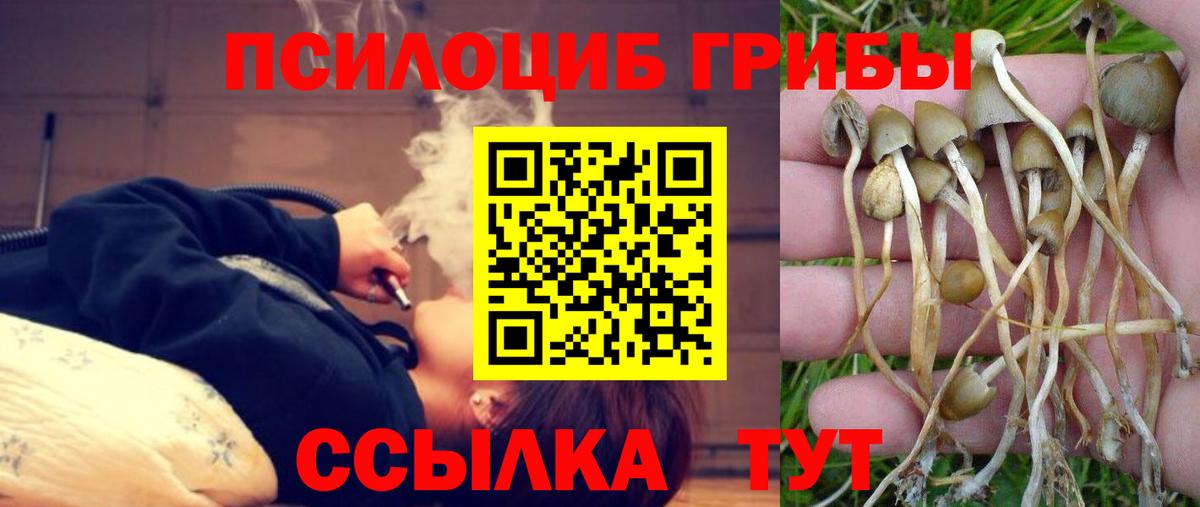 Псилоцибиновые грибы Magic Shrooms Грязи