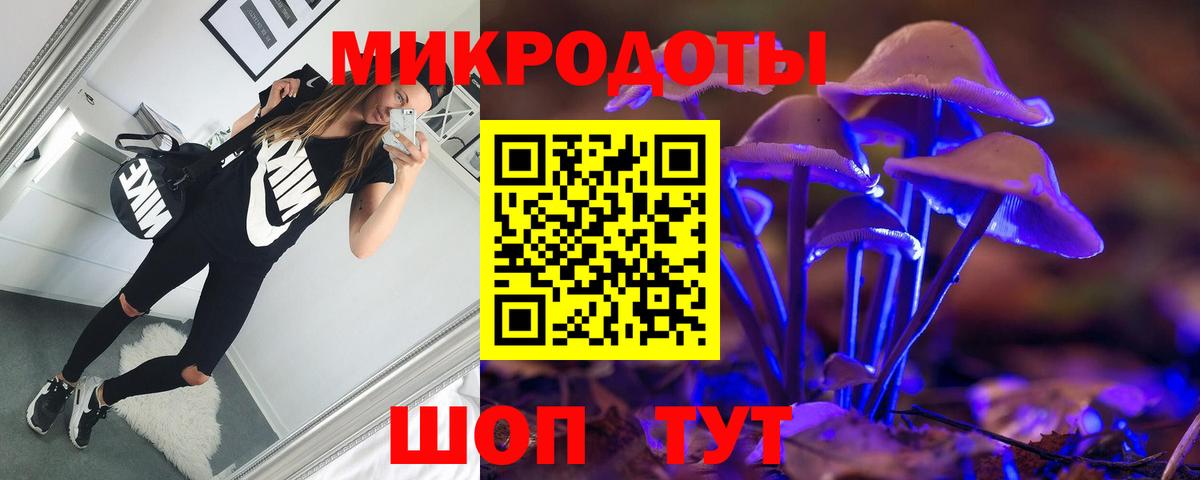Галлюциногенные грибы Cubensis  Вход с VPN  Грязи  Галлюциногенные грибы Magic Shrooms 